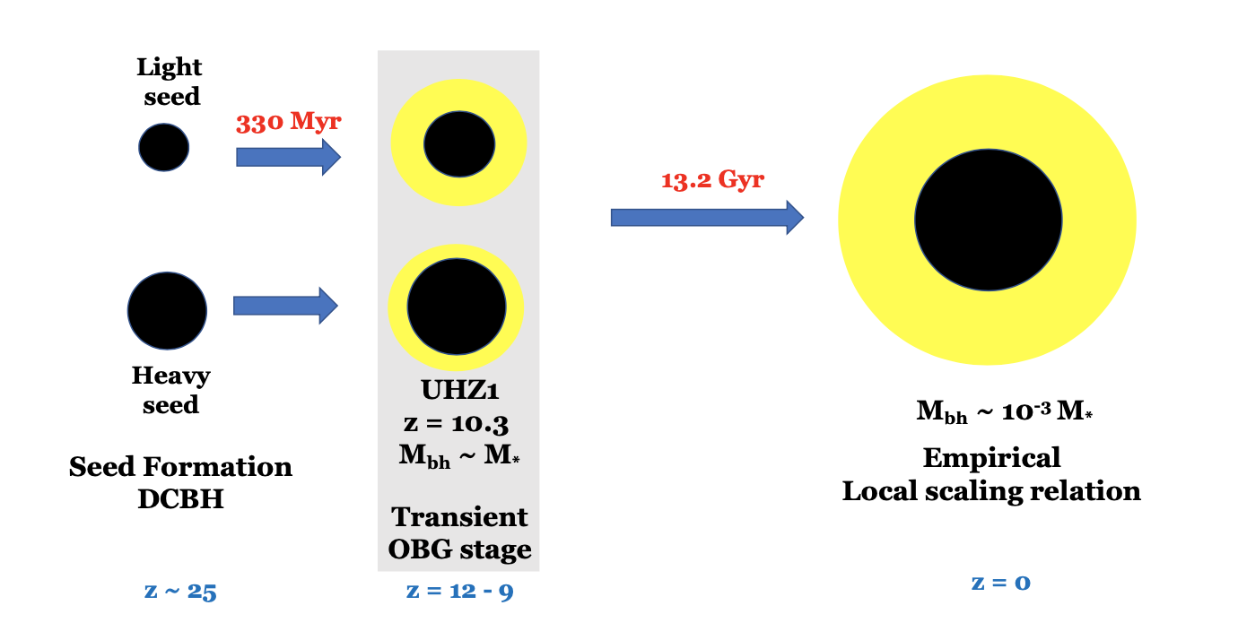 Illustration of light versus heavy black hole seed formation pathways